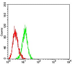 Figure 4:Flow cytometric analysis of HL-60 cells using CD283 mouse mAb (green) and negative control (red).