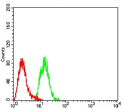 Figure 5:Flow cytometric analysis of Hela cells using MTA1 mouse mAb (green) and negative control (red).