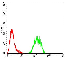 Figure 5:Flow cytometric analysis of Hela cells using KMT2C mouse mAb (green) and negative control (red).