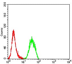 Figure 4:Flow cytometric analysis of Hela cells using ULBP1 mouse mAb (green) and negative control (red).