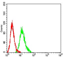 Figure 5:Flow cytometric analysis of HL-60 cells using CD364 mouse mAb (green) and negative control (red).