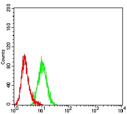 Figure 4:Flow cytometric analysis of Hela cells using AKT1S1 mouse mAb (green) and negative control (red).