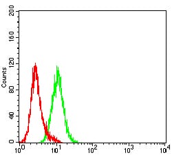 Figure 5:Flow cytometric analysis of Hela cells using KRT18 mouse mAb (green) and negative control (red).