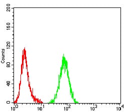 Figure 4:Flow cytometric analysis of Hela cells using DFFB mouse mAb (green) and negative control (red).