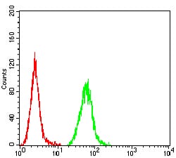 Figure 4:Flow cytometric analysis of Hela cells using FAP mouse mAb (green) and negative control (red).