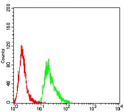 Figure 5:Flow cytometric analysis of Hela cells using PMS2 mouse mAb (green) and negative control (red).