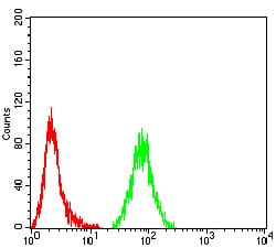 Figure 3:Flow cytometric analysis of Hela cells using TUBB3 mouse mAb (green) and negative control (red).