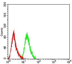 Figure 4:Flow cytometric analysis of THP-1 cells using CD118 mouse mAb (green) and negative control (red).