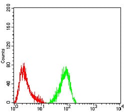 Figure 4:Flow cytometric analysis of Hela cells using MUC5B mouse mAb (green) and negative control (red).