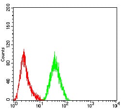 Figure 4:Flow cytometric analysis of THP-1 cells using CD171 mouse mAb (green) and negative control (red).