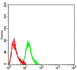 Figure 3:Flow cytometric analysis of Hela cells using ACTA2 mouse mAb (green) and negative control (red).
