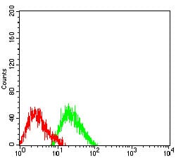 Figure 5:Flow cytometric analysis of SW480 cells using COL1A2 mouse mAb (green) and negative control (red).