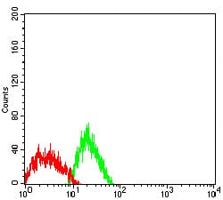 Figure 5:Flow cytometric analysis of SK-N-SH cells using GPC3 mouse mAb (green) and negative control (red).