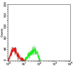 Figure 4:Flow cytometric analysis of SW480 cells using MUC2 mouse mAb (green) and negative control (red).