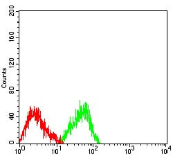 Figure 4:Flow cytometric analysis of SW480 cells using MUC2 mouse mAb (green) and negative control (red).