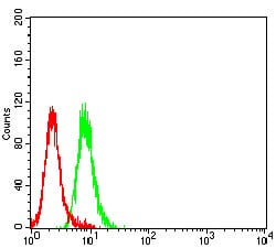 Figure 5:Flow cytometric analysis of Jurkat cells using ZAP70 mouse mAb (green) and negative control (red).