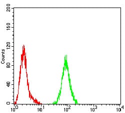 Figure 4:Flow cytometric analysis of Hela cells using ASGR2 mouse mAb (green) and negative control (red).