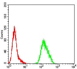 Figure 2:Flow cytometric analysis of Hela cells using GATA3 mouse mAb (green) and negative control (red).