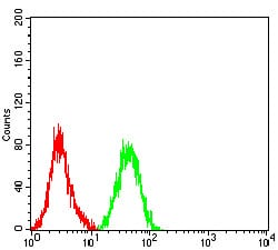 Figure 4:Flow cytometric analysis of HL-60 cells using CD10 mouse mAb (green) and negative control (red).