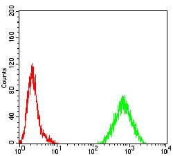 Figure 2:Flow cytometric analysis of Hela cells using MYC mouse mAb (green) and negative control (red).
