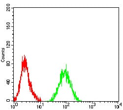 Figure 4:Flow cytometric analysis of HL-60 cells using CD124 mouse mAb (green) and negative control (red).