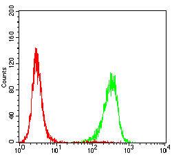 Figure 6:Flow cytometric analysis of HepG2 cells using P4HB mouse mAb (green) and negative control (red).