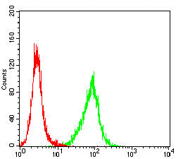 Figure 6:Flow cytometric analysis of Hela cells using PLAU mouse mAb (green) and negative control (red).