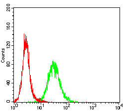 Figure 5:Flow cytometric analysis of Hela cells using AHNAK mouse mAb (green) and negative control (red).