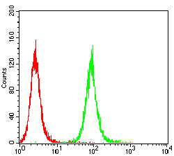 Figure 7:Flow cytometric analysis of NIH3T3 cells using EDN1 mouse mAb (green) and negative control (red).