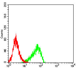 Figure 5:Flow cytometric analysis of Jurkat cells using ITGB7 mouse mAb (green) and negative control (red).