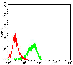 Figure 5:Flow cytometric analysis of Jurkat cells using ALDH1L1 mouse mAb (green) and negative control (red).