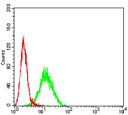 Figure 4:Flow cytometric analysis of THP-1 cells using C3AR1 mouse mAb (green) and negative control (red).