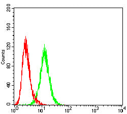 Figure 5:Flow cytometric analysis of LNCAP cells using DLG4 mouse mAb (green) and negative control (red).