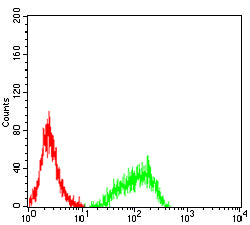 Figure 6:Flow cytometric analysis of Jurkat cells using CD30 mouse mAb (green) and negative control (red).