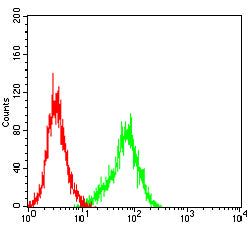 Figure 4:Flow cytometric analysis of THP-1 cells using UPK3B mouse mAb (green) and negative control (red).