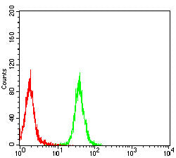 Figure 5:Flow cytometric analysis of THP-1 cells using TNFRSF1A mouse mAb (green) and negative control (red).