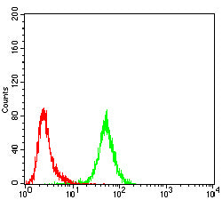 Figure 6:Flow cytometric analysis of Jurkat cells using HSPA9 mouse mAb (green) and negative control (red).