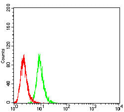 Figure 6:Flow cytometric analysis of HepG2 cells using HSPA9 mouse mAb (green) and negative control (red).