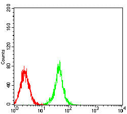 Figure 5:Flow cytometric analysis of C6 cells using GMNN mouse mAb (green) and negative control (red).