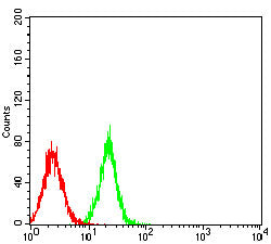 Figure 4:Flow cytometric analysis of C6 cells using GMNN mouse mAb (green) and negative control (red).