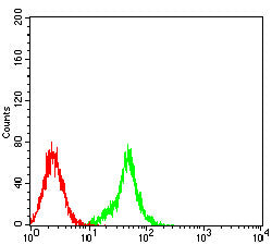 Figure 6:Flow cytometric analysis of C6 cells using DLL3 mouse mAb (green) and negative control (red).