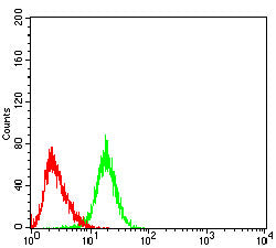 Figure 5:Flow cytometric analysis of Raji cells using SV2C mouse mAb (green) and negative control (red).