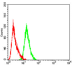 Figure 4:Flow cytometric analysis of HL-60 cells using CD253 mouse mAb (green) and negative control (red).