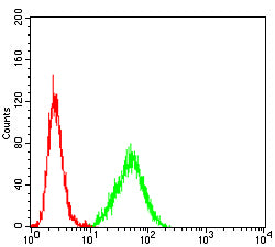 Figure 5:Flow cytometric analysis of Jurkat cells using CCNB3 mouse mAb (green) and negative control (red).