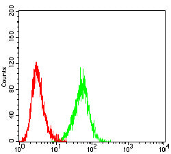 Figure 4:Flow cytometric analysis of Jurkat cells using ITGB7 mouse mAb (green) and negative control (red).