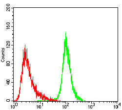 Figure 4:Flow cytometric analysis of THP-1 cells using CD180 mouse mAb (green) and negative control (red).