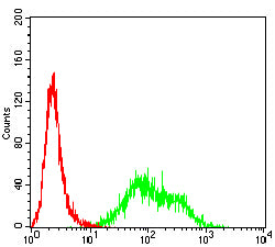 Figure 5:Flow cytometric analysis of HL-6O cells using CD157 mouse mAb (green) and negative control (red).