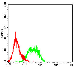 Figure 4:Flow cytometric analysis of Jurkat cells using CD160 mouse mAb (green) and negative control (red).