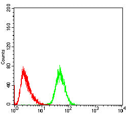 Figure 4:Flow cytometric analysis of THP-1 cells using CD45R mouse mAb (green) and negative control (red).