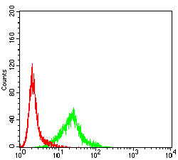 Figure 5:Flow cytometric analysis of MCF-7 cells using CXCR7 mouse mAb (green) and negative control (red).